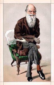 Portrait de Charles Darwin - James Jacques Joseph  Tissot