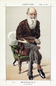 Charles Darwin, Hommes du jour, No. 33, Sélection naturelle, de Vanity Fair, pub. 1871 - James Jacques Joseph Tissot
