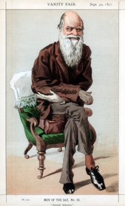 Sélection naturelle, 1871 - James Jacques Joseph Tissot