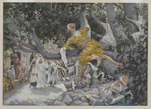 Zachée dans le sycomore attendant le passage de Jésus, illustration de La Vie de Notre Seigneur Jésus-Christ, 1886-96 - James Jacques Joseph Tissot
