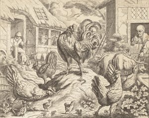 Le coq et la pierre précieuse, des Fables d