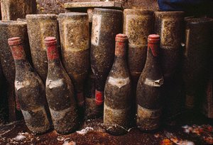 Bouteilles de vin rouge, couvertes de moisissure, vieillissant dans une cave à vin. Tain-L