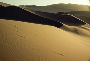 Vue des dunes ombragées près de Dunhuang. Province de Gansu, République populaire de Chine - James L Stanfield