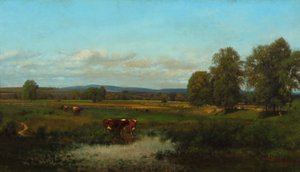 Vaches dans le pâturage 1870 - James McDougal Hart