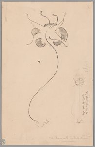 Papillon (recto) ; Étude de papillon (verso) - James McNeill Whistler