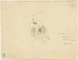 Papillon - James McNeill Whistler