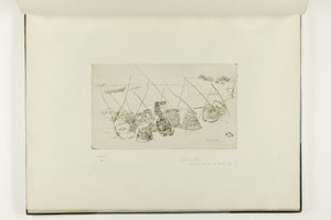 Pots à homard - Selsea Bill