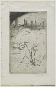Cygne et iris