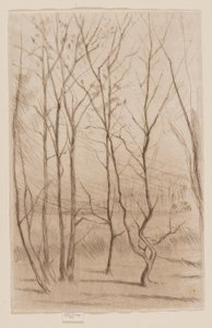 Le Bois du barrage - James Abbott McNeill Whistler