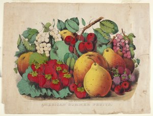 Fruits d