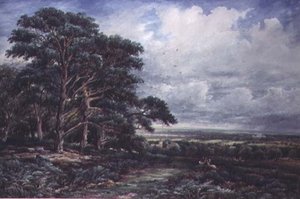 Parc de Bradgate près de Leicester - James Orrock