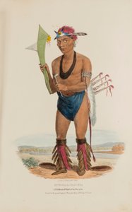 CUT-TAA-TAS-TIA ; Un chef célèbre de la tribu des renards, tiré du Portefeuille autochtone