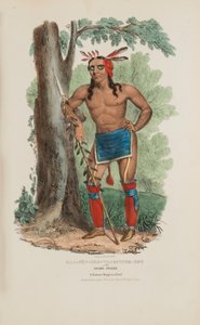KAA-NUN-DER-WAAGUINSE-ZOO ou le cueilleur de baies ; un célèbre chef chippewa, tiré du Portfolio autochtone