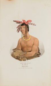 MISH-SHA-QUAT ou le ciel clair ; un chef Chippeway, tiré du Portfolio autochtone