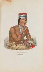 WA-EM-BOESH-KAA ; Un chef Chippeway, tiré du Portfolio autochtone