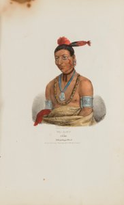 WA-KAUN ou le serpent ; un chef Winnebago, tiré du Portfolio autochtone - James Otto Lewis