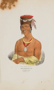 WAA-BIN-DE-BA ou l
