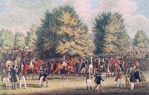 Epsom, Sellerie dans le Warren