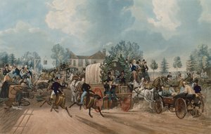 Le Coq à Sutton - James Pollard