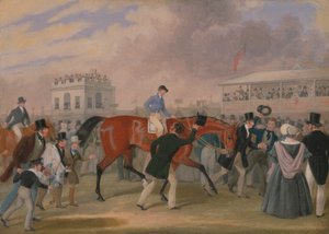 Les animaux de compagnie du Derby : Le gagnant - James Pollard