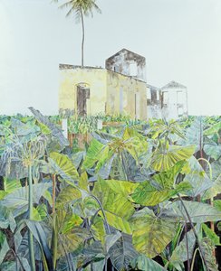 Ruine dans un marais, Haïti, 1971 - James Reeve