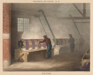 Progrès du coton : # 11 - Teinture - James Richard Barfoot
