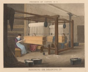 Progrès du coton : #9 - Reeding ou drawing in - James Richard Barfoot