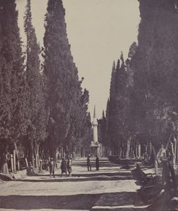 Vue dans le Grand Cimetière de Scutari - James Robertson