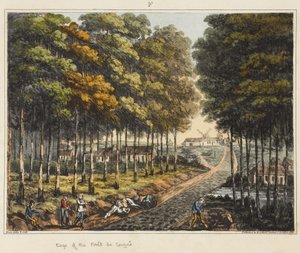 Bord de la Forêt de Soignes, de 