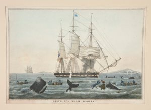 Pêche à la baleine dans les mers du Sud - James S. Baillie