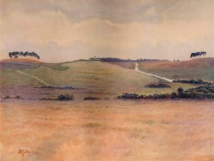 Chobham Common