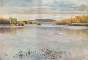 Étang de Vachery, 1911, 1914