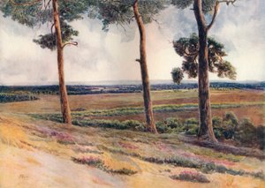 Vue de Staple Hill - James S Ogilvy
