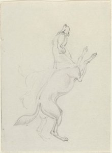 Un chien sautant - James Seymour