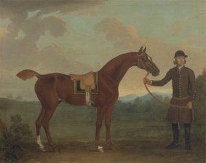 Vieux renard tenu par un palefrenier