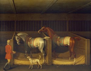 Chevaux de course appartenant à Ambrose Phillips - James Seymour