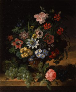 Fleurs et fruits