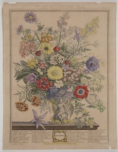 Novembre 1730