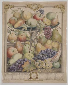 Novembre 1732