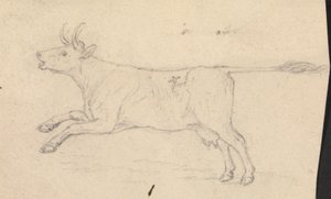 Une vache - James Sowerby
