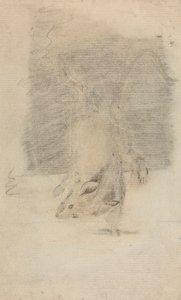 Une souris - James Sowerby