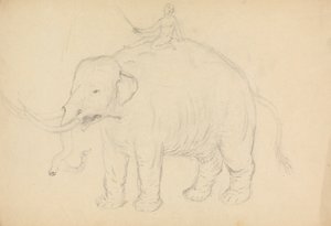 Éléphant avec cavalier