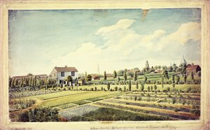 Jardin botanique de William Curtis, Lambeth Marsh, avant 1787 - James Sowerby