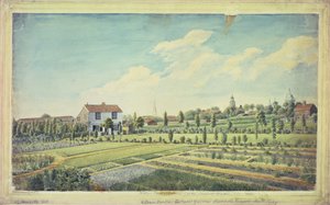 Jardins botaniques de William Curtis, Lambeth Marsh, vers 1787