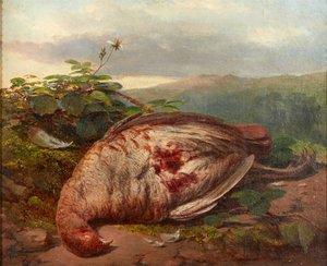 Nature morte de gibier mort