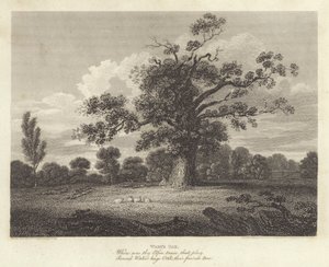 Robert Bloomfield, poète : Le Chêne de Wake - James Storer