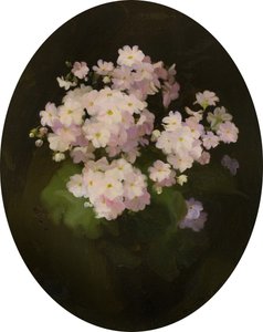 Primevères, 20ème siècle - James Stuart Park