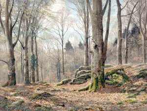 Un Bois Gallois - James Thomas Watts