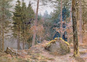 Dans un bois gallois, hiver - James Thomas Watts