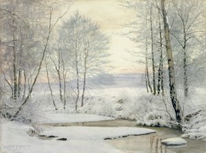 Coucher de soleil en hiver